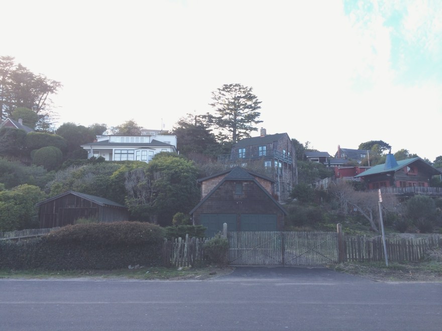 Processed with VSCOcam with t1 preset