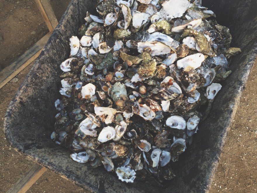 Processed with VSCOcam with t1 preset