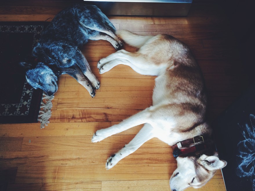 Processed with VSCOcam with f2 preset