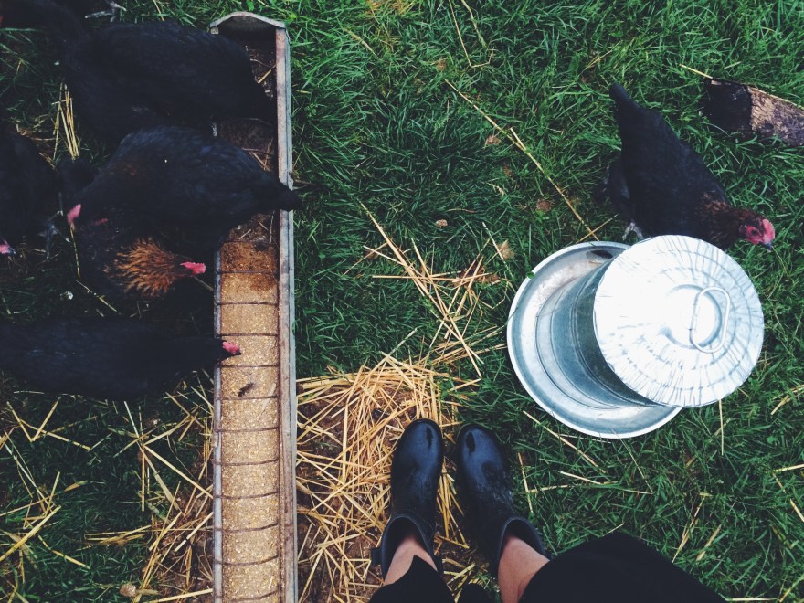 Processed with VSCOcam with f2 preset