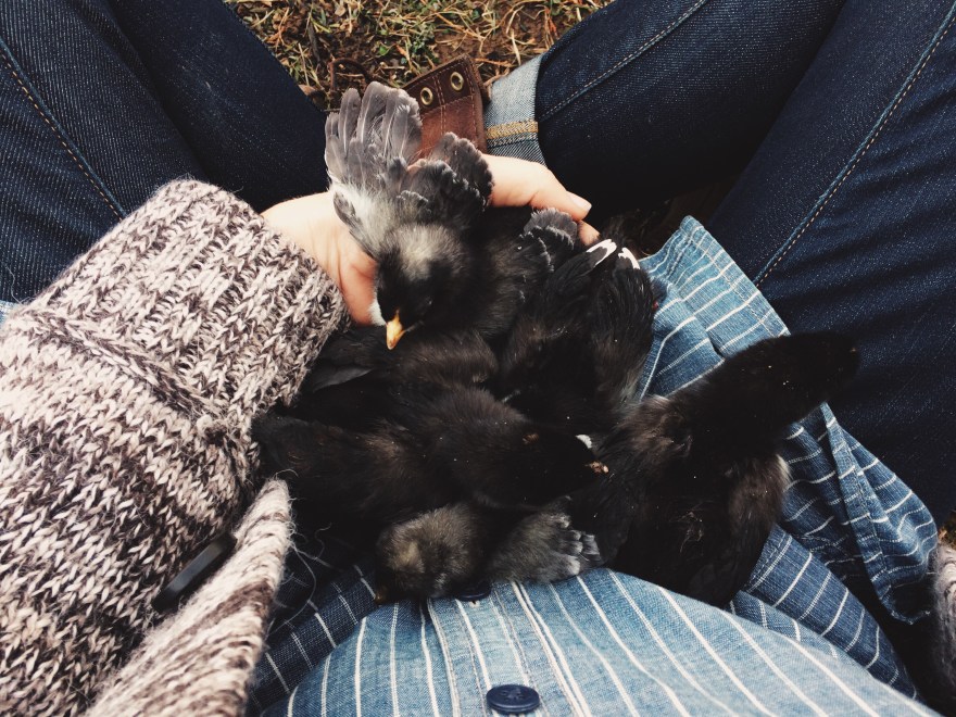 Processed with VSCOcam with lv03 preset