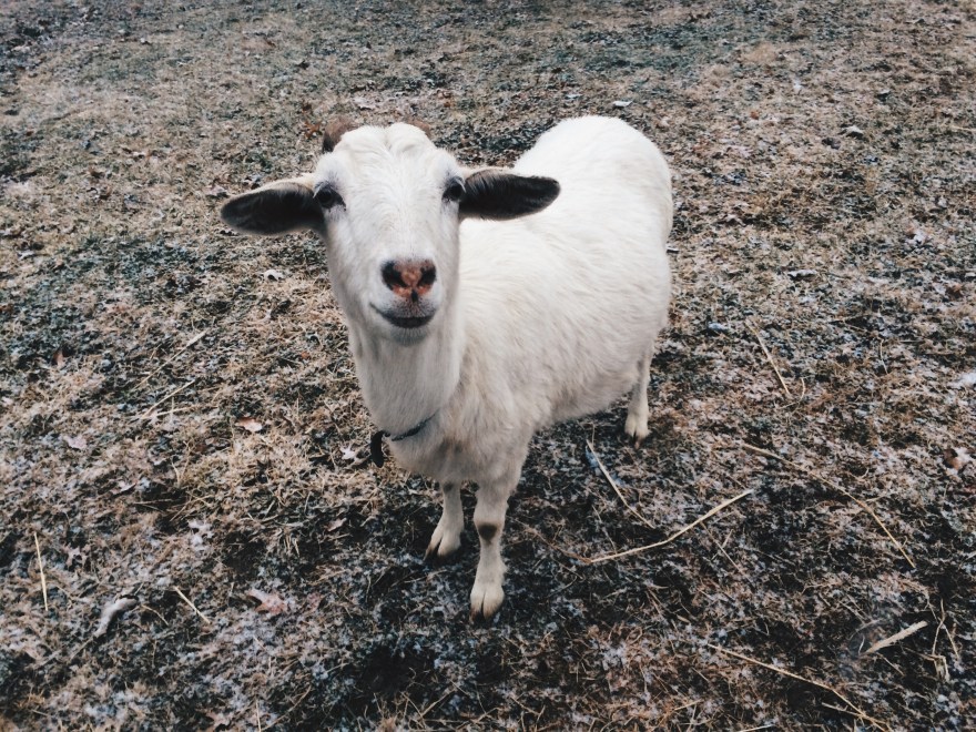 Processed with VSCOcam with hb2 preset